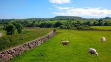 Environmentalists who have seen a draft version of the 25-Year Environment Plan have said it is
